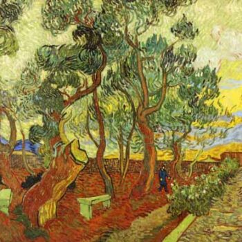 Van Gogh the garden of Asylum