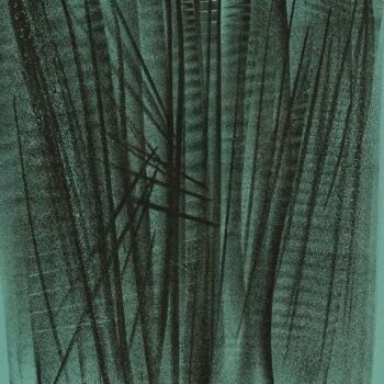 Hans Hartung Original Lithograph XXe Siecle 1964