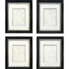Picasso set of 4 metamorphoses 1-3-4-5 Framed